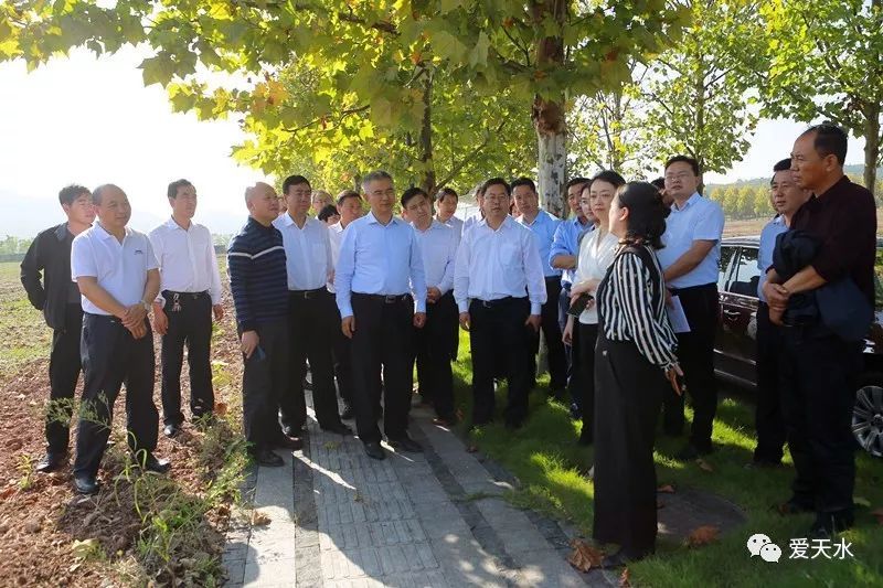 南岸区副区长陈炯,天水市副市长逯克宗,市政府秘书长王祥林一同考察.