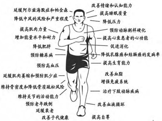 别跑步了会猝死坚持跑步到底对心脏好不好