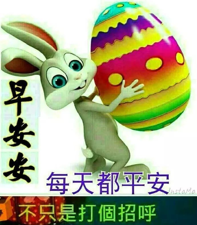 最新早上好问候语录表情图片,最漂亮早上好温馨表情图片带字