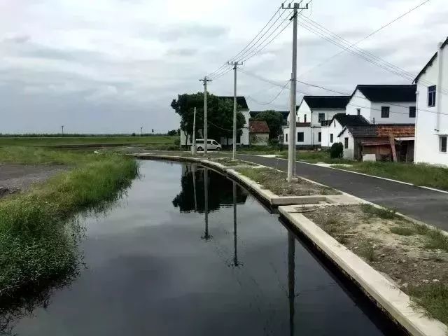 张浦镇金华村,淀山湖镇兴复村,锦溪镇联湖村等10个行政村进入前十