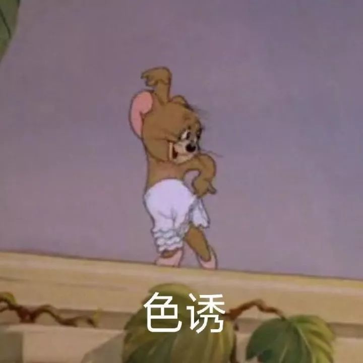 猫和老鼠骚气表情包大全 你不丑的话其实也挺漂亮的