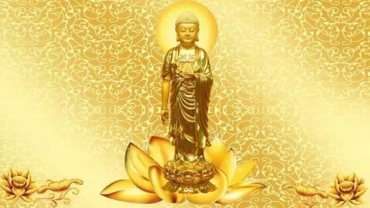 恭喜您有福了!今日万佛之祖邀您接福,进来看您是否与佛祖有缘?