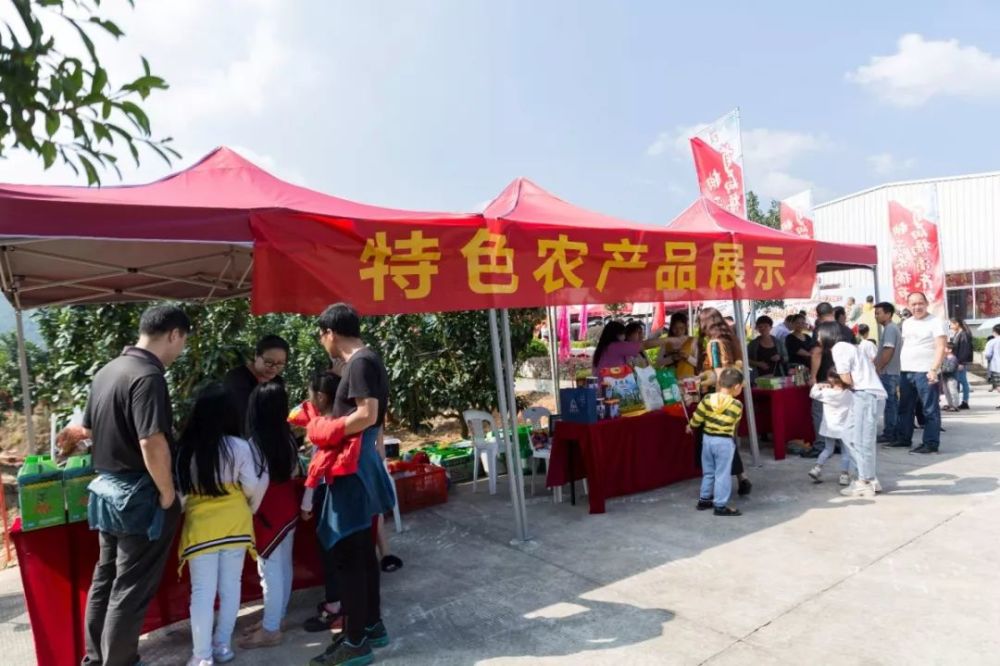 柚子皮猜成语_柚子皮(2)