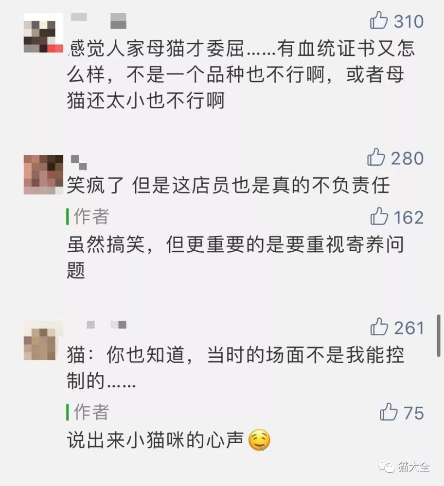 母猫简谱_儿歌简谱(2)