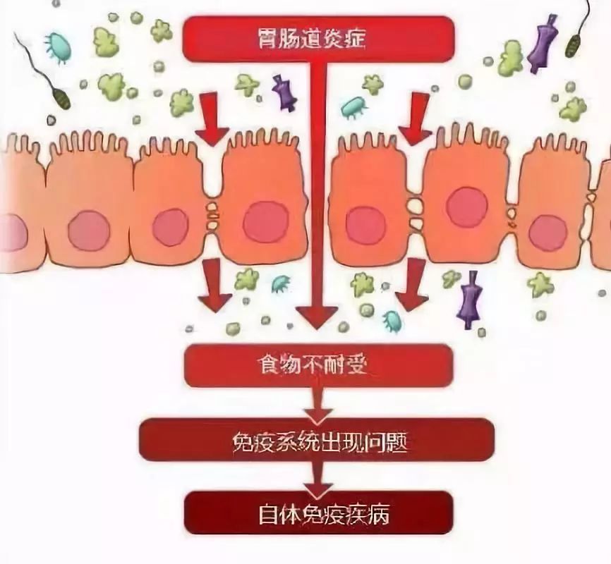 赛诺菲肿瘤产品_赛诺菲有什么产品_赛诺菲肿瘤产品有哪些