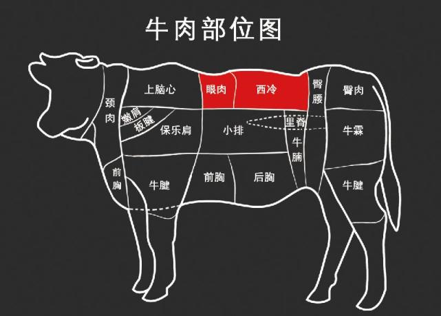 牛排部位图