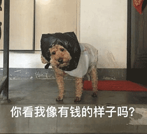 表情包:风里雨里,床上等你