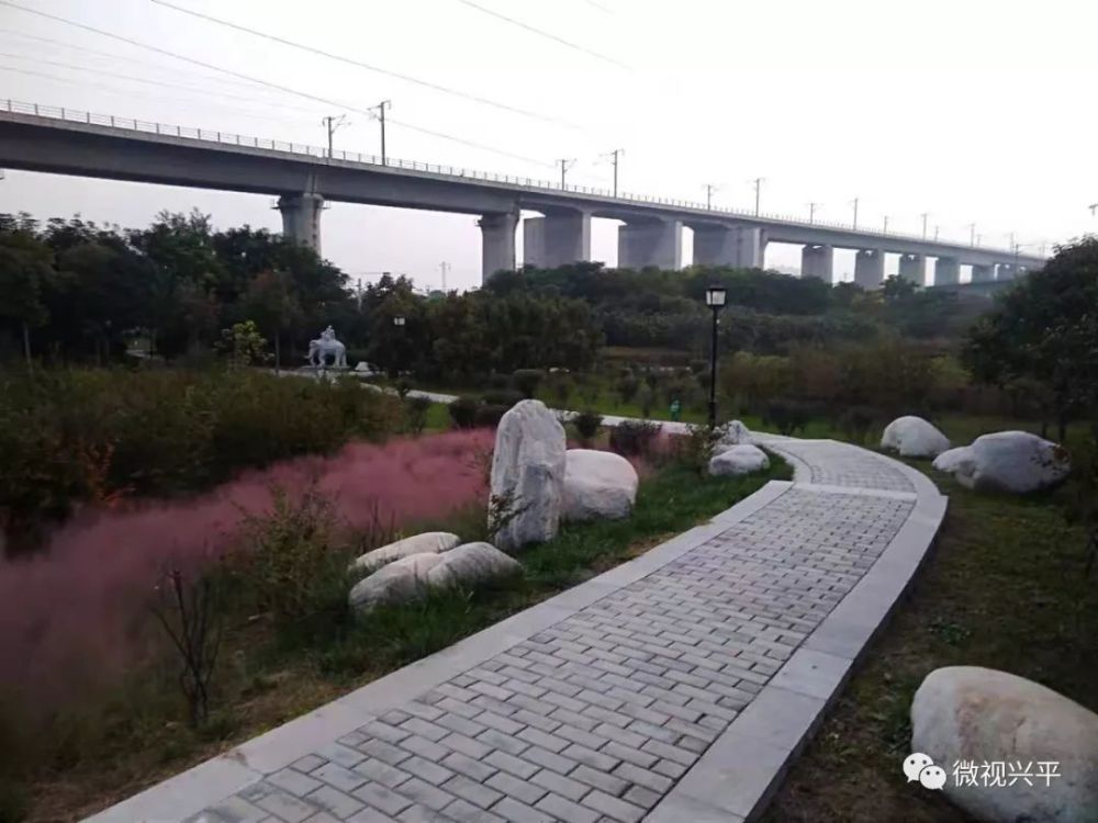 离兴平不远,咸阳丝路公园你去过吗?