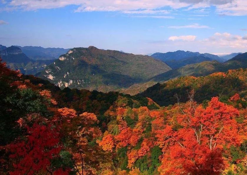 而大家一般说光雾山红叶,其实指的是大坝景区,它离光雾山镇十几公里.