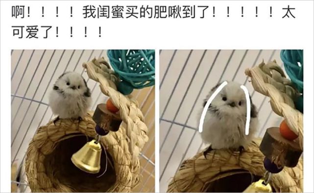 ͼƬ