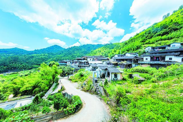 血沃红旗池家山连城县莒溪镇池家山村革命简史