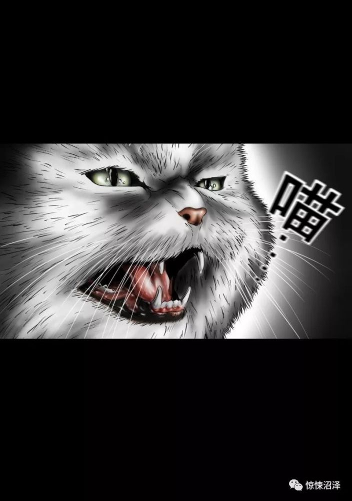 『短篇惊悚』深夜对着家中怪叫的诡异猫咪