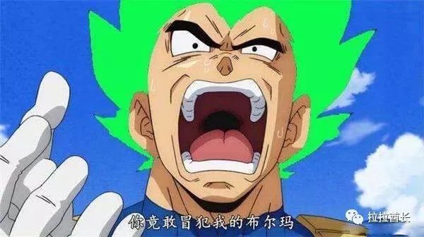 动漫《七龙珠,贝吉塔能成为老二,是孙悟空的功劳还是布尔玛的功劳?
