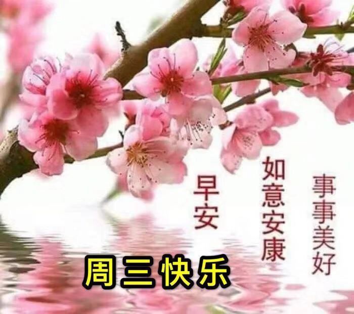 漂亮周三早晨祝福图 早上好问候句子