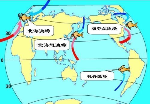 北海道渔场:日本暖流 千岛寒流 纽芬兰渔场:墨西哥湾暖流 拉布拉多