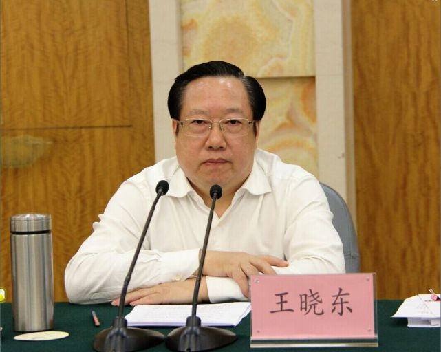 王晓东当选湖北省人民政府省长