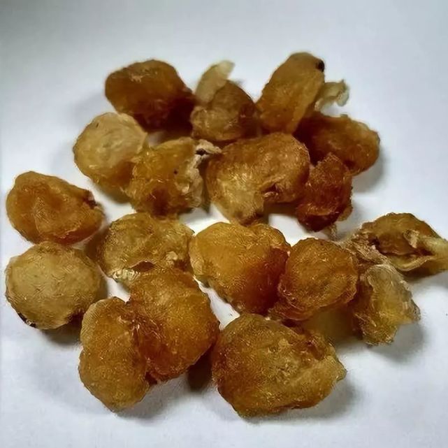 跟我学中草药:龙眼肉