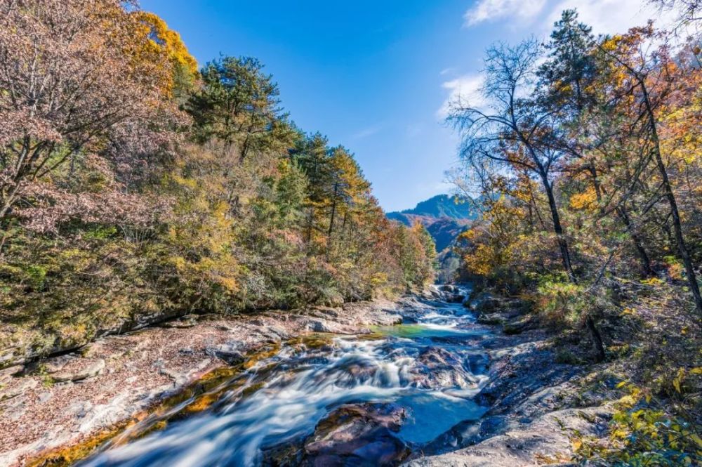 姜眉公路太白县鹦鸽镇-桃川镇青峰峡国家森林公园太白县城黄柏塬景区