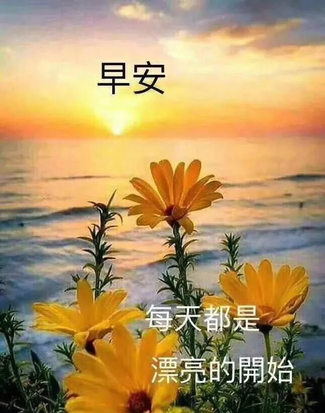 10月24日早上好正能量很火的一段话!