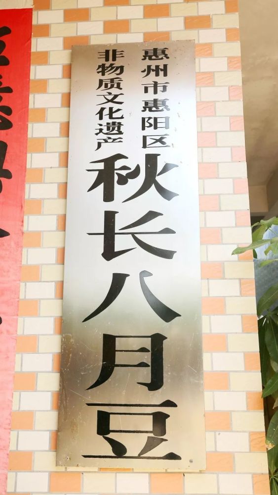 秋长八月豆,我又把你挖出来了!