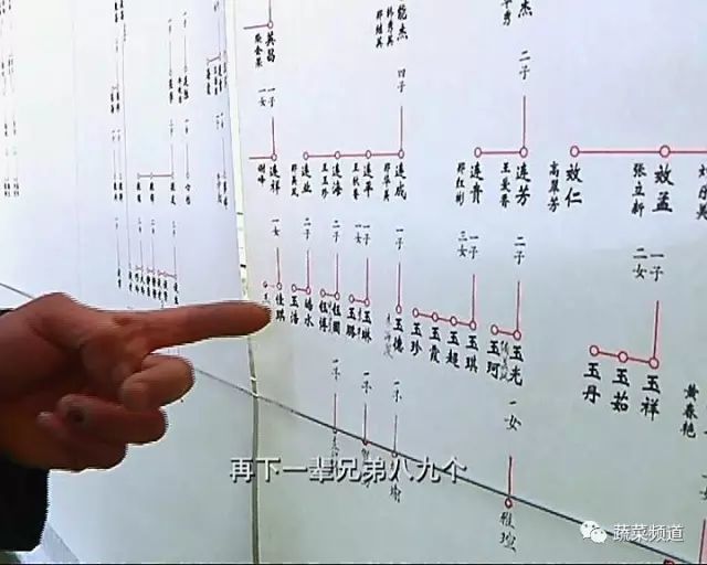 郑姓有多少人口