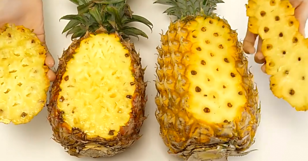 菠萝和凤梨到底是不是一个品种?两者如何区分?10个人9