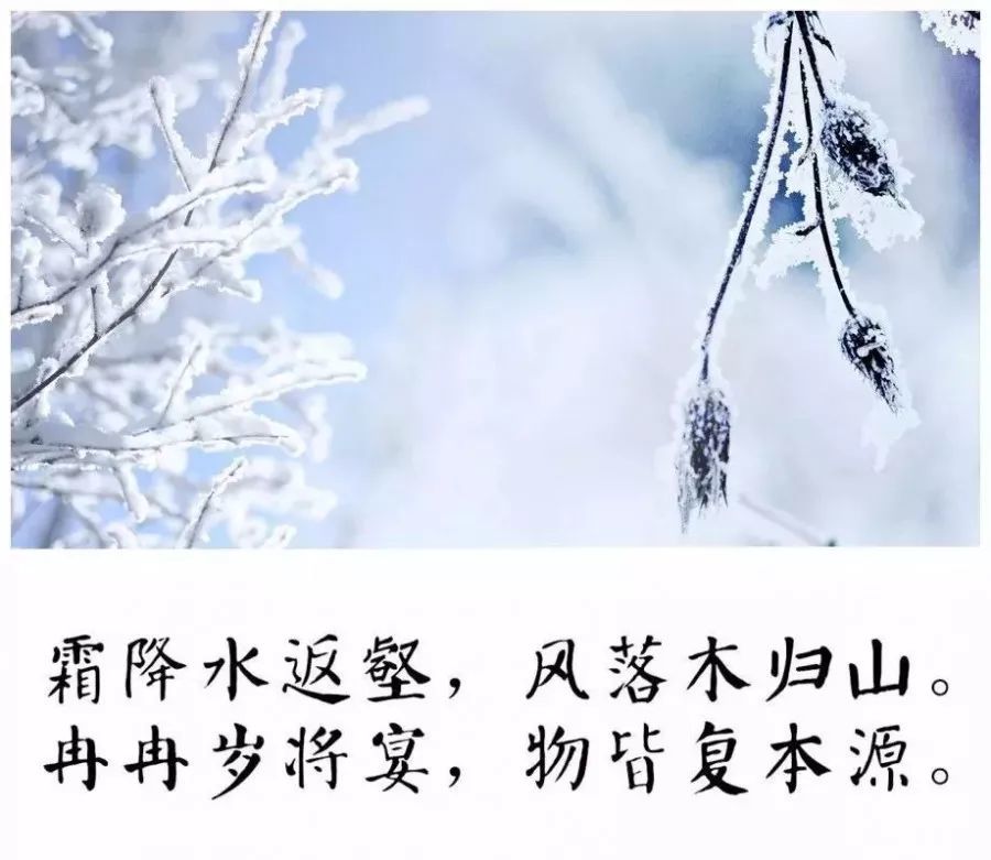霜降| 五首霜降最美诗词,带你感受古人笔下深秋
