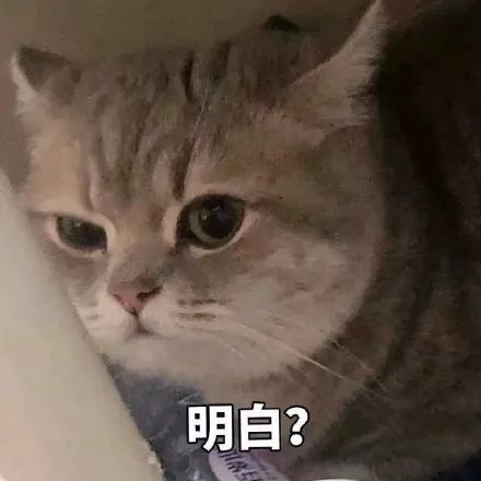 表情包:来呀,我会接住你的