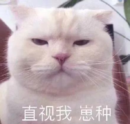 表情包:来呀,我会接住你的