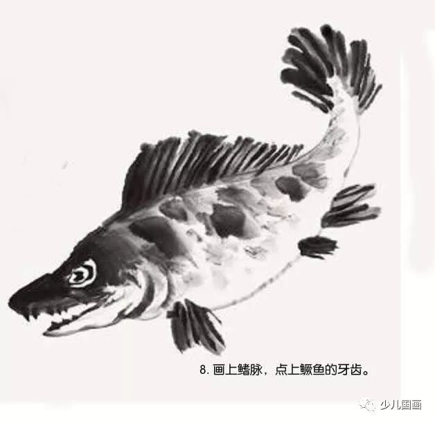 少儿国画入门教程鱼虫篇:鳜鱼画法