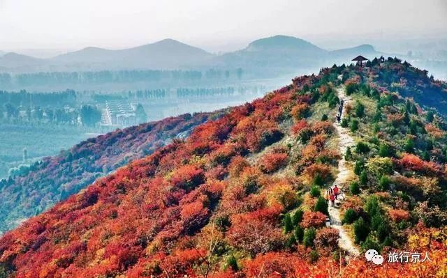 早知白毛峪,何必登香山,北京这座山里已被红叶浸染,免费开放