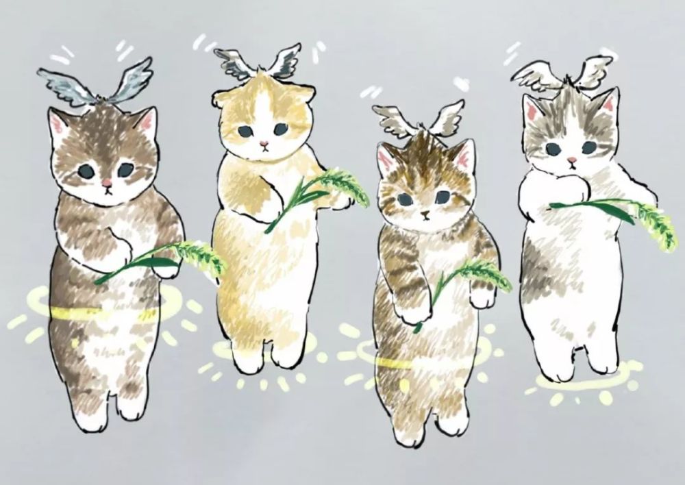 今天分享治愈系喵星人 一组很可爱的猫咪作品 猫咪拟人的生活是这样的