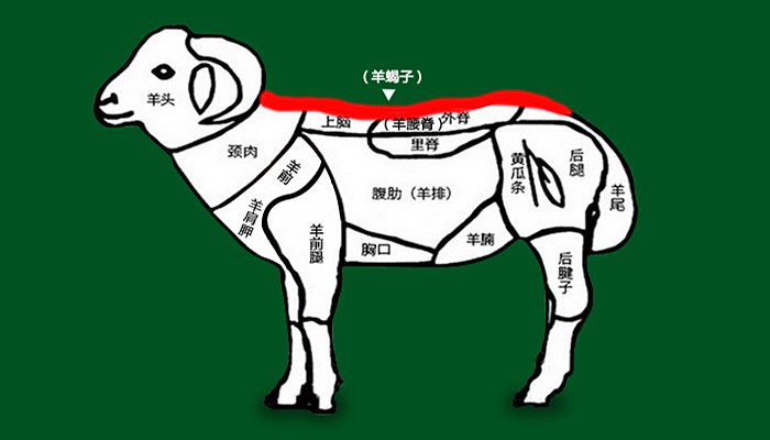 羊蝎子是什么,为啥叫羊蝎子,味道好吃吗?很多人08不