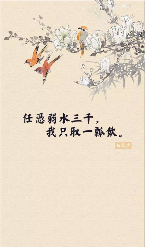 弱水三千简谱_弱水三千只取一瓢图片(2)