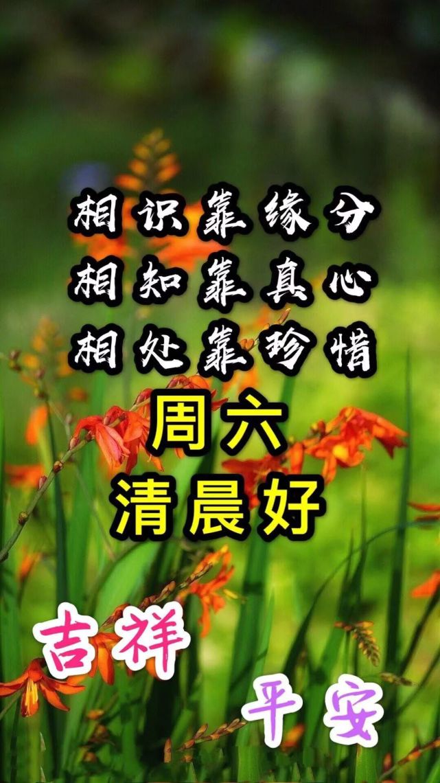 周六清晨早安祝福动态图片大全 早安祝福语大全简短