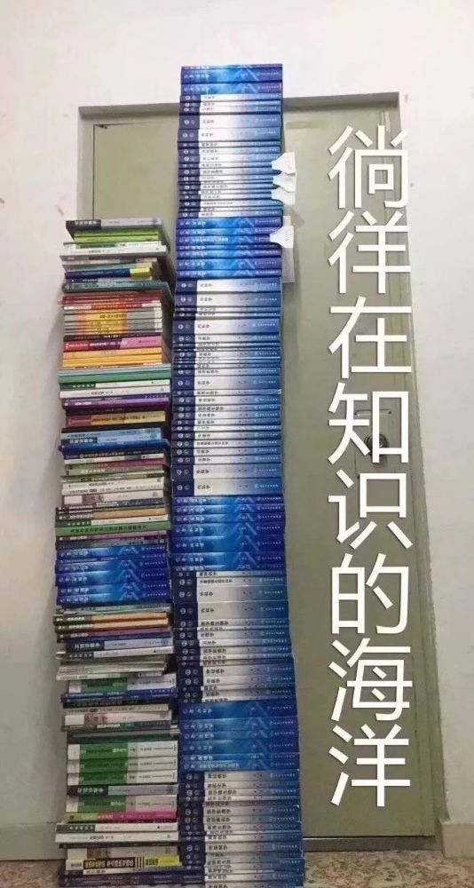 合集 各专业表情包