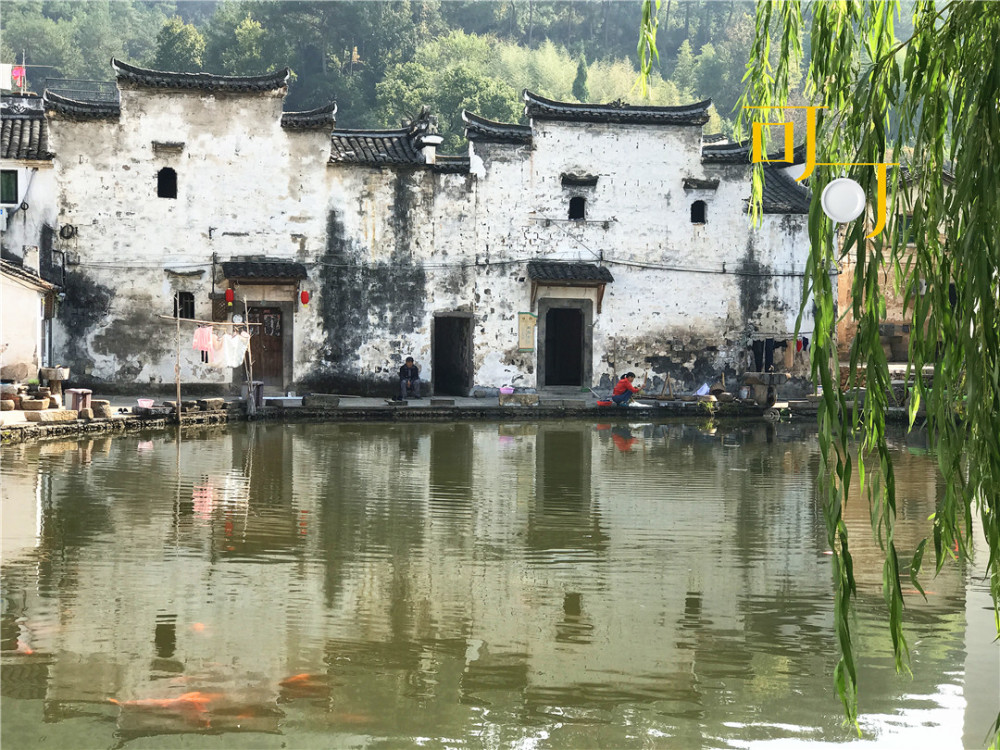 兰溪游芝堰村古建筑群,4个人午餐151元,蒜子爆牛肉很好吃