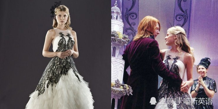 《哈利波特》:"魔法世界第一美女"芙蓉·德拉库尔,绝不是个花瓶!
