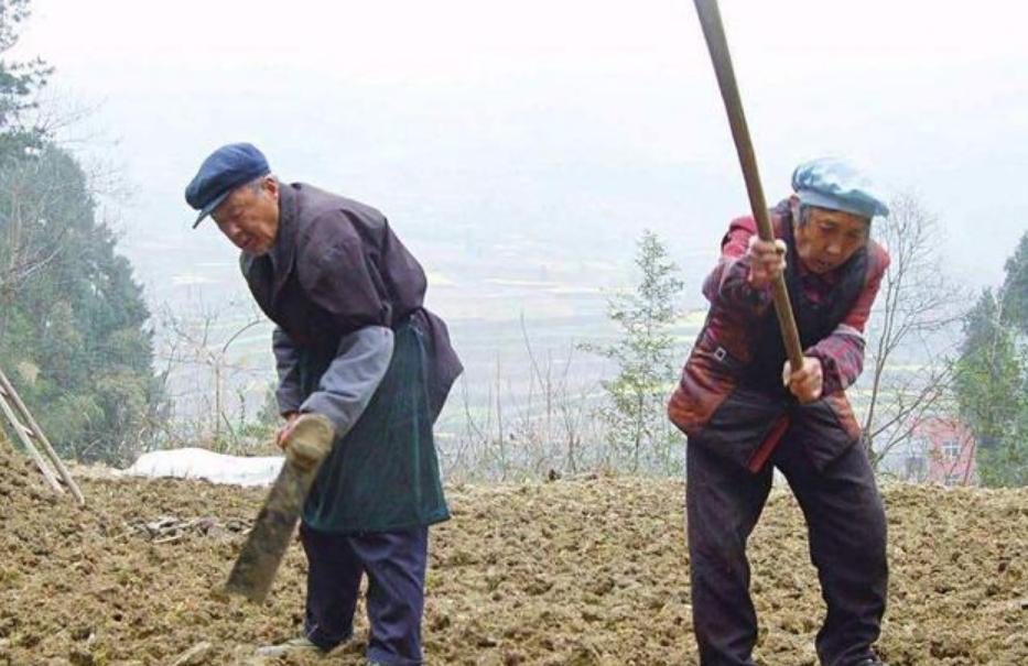 同样六七十岁,农村老人工地打工,下地干活,他们当真是