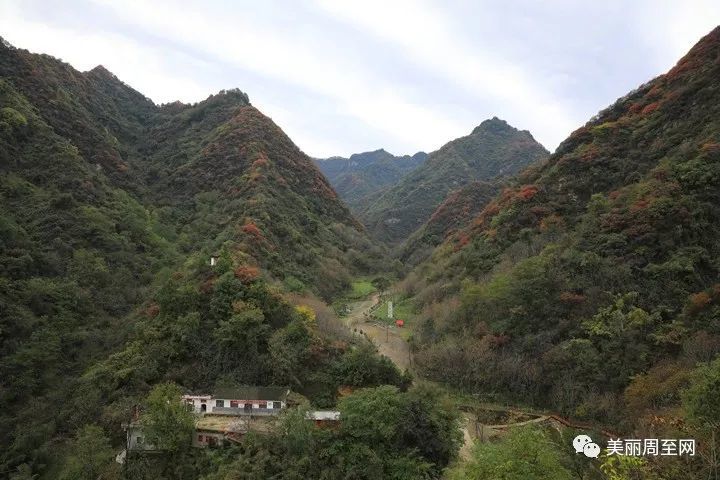 周至有一种风景叫青山红叶