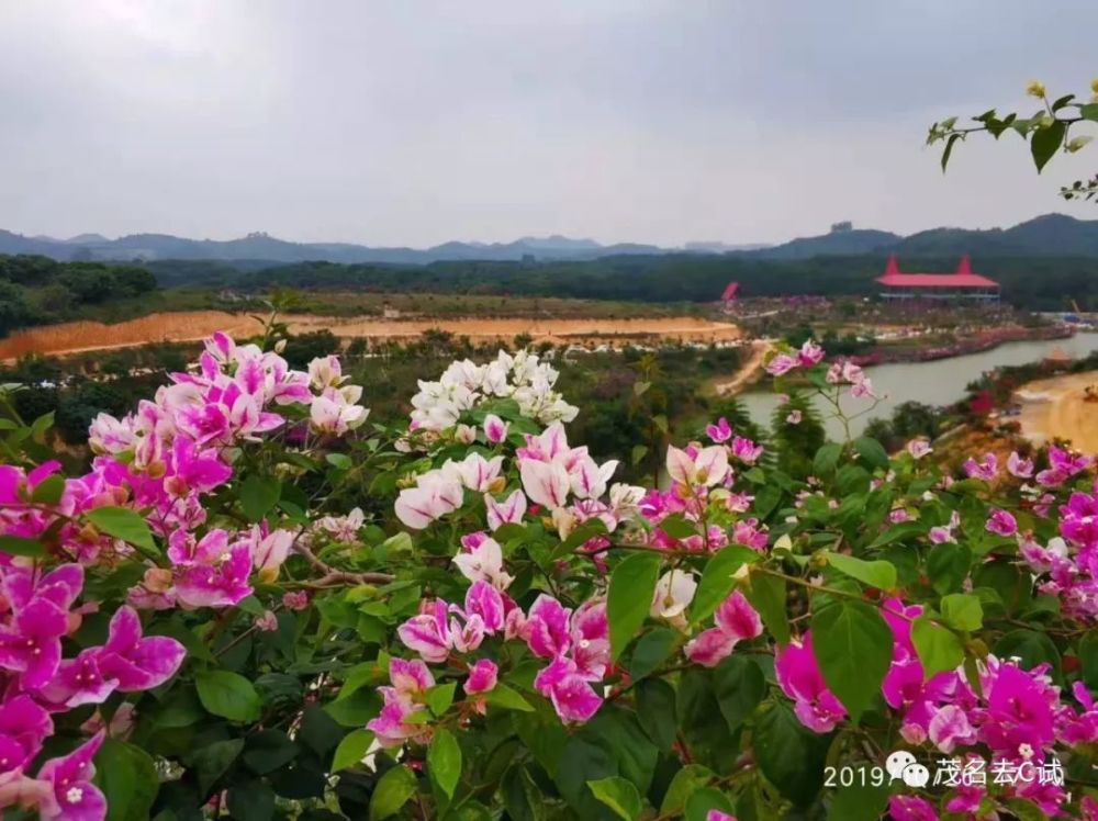 玉龙山乡村生态旅游风景区位于高州城东的谢牛岭山脚下,离高州市城区