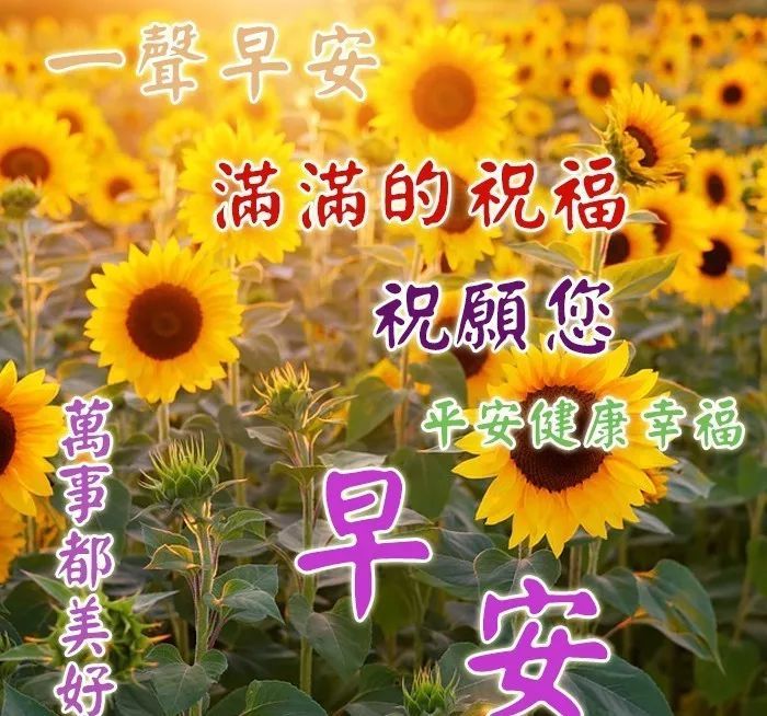 11月4日星期一早上好祝福问候语图片,暖心的早上好动态表情图片
