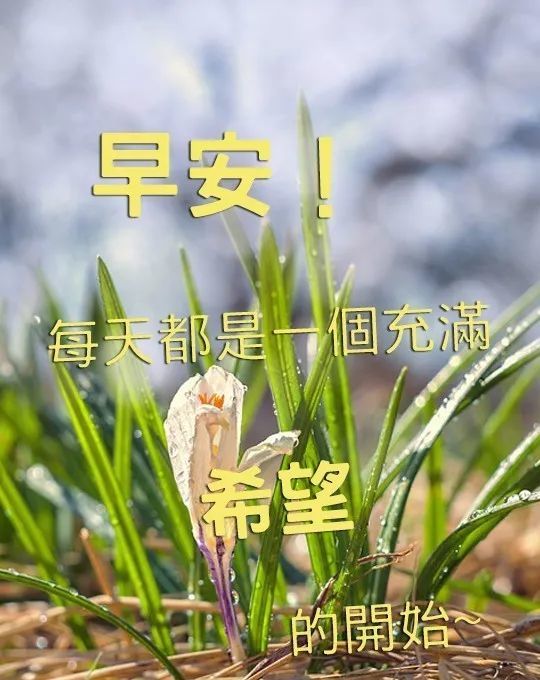 12月3日早上好问候祝福语图片,早安问候正能量语录