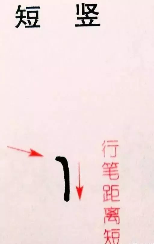 书法教案竖画模板_美工画石头画教案_毛笔竖提的书法教案