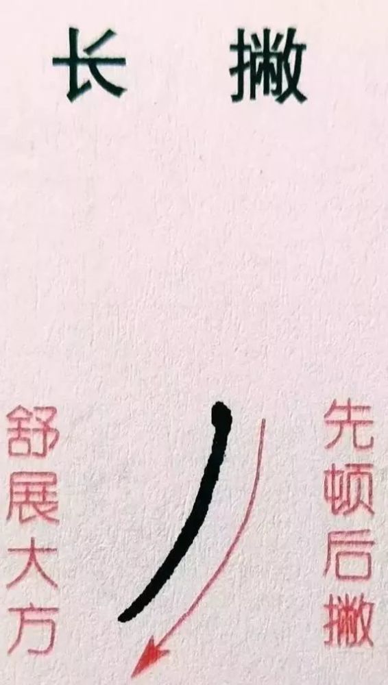 多撇的字,如果撇笔长短,指向完全一样,缺少变化,就会显得呆板无生气