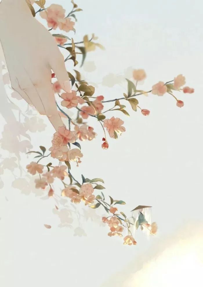 不负时光,不负你
