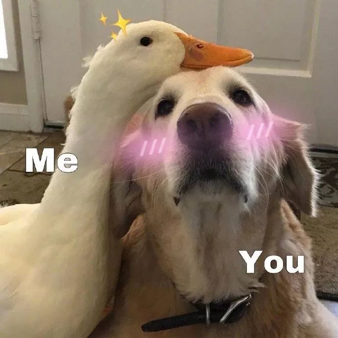 表情包:you & me