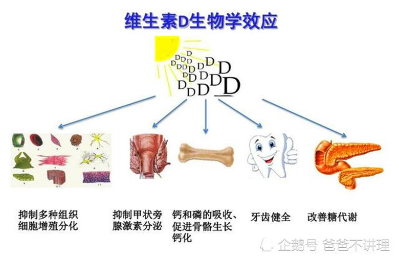 新生儿出生2周后补充维生素d?大多数人都搞错了