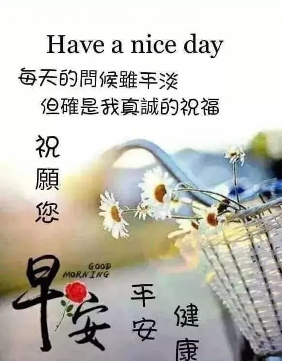 周三最新早上好问候语动态图片大全 微信朋友圈早晨