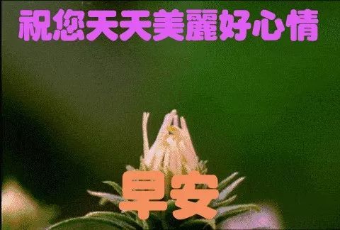 最新早晨好问候语动态图片表情 漂亮早上好问候祝福语